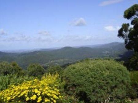 골드코스트 Hillside Country Retreat B&B 외부 사진