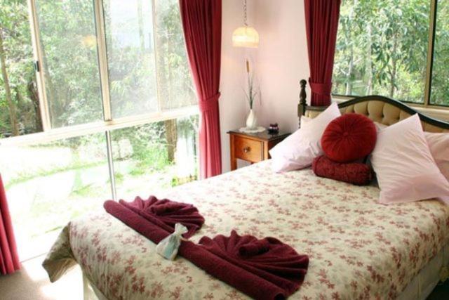 골드코스트 Hillside Country Retreat B&B 객실 사진