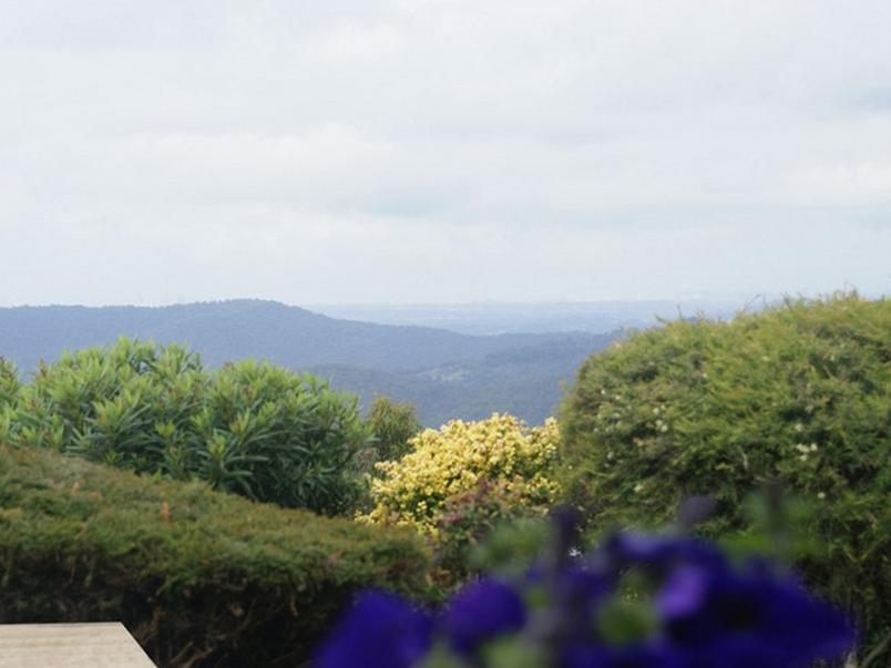 골드코스트 Hillside Country Retreat B&B 외부 사진